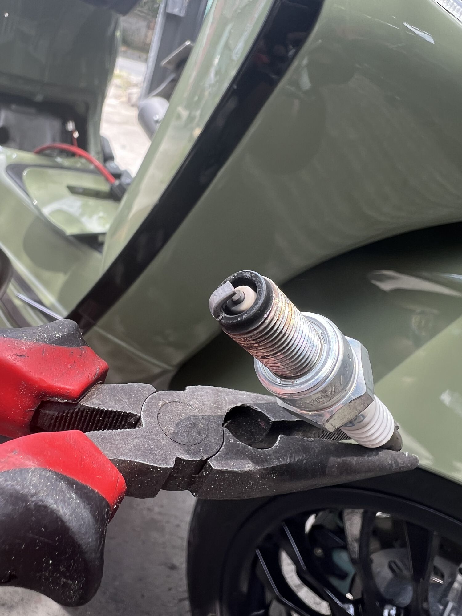 Forum member supplied image with no explanatory text