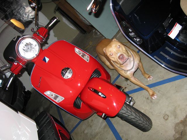 Forum member supplied image with no explanatory text