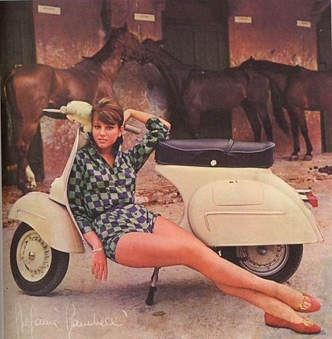 Forum member supplied image with no explanatory text