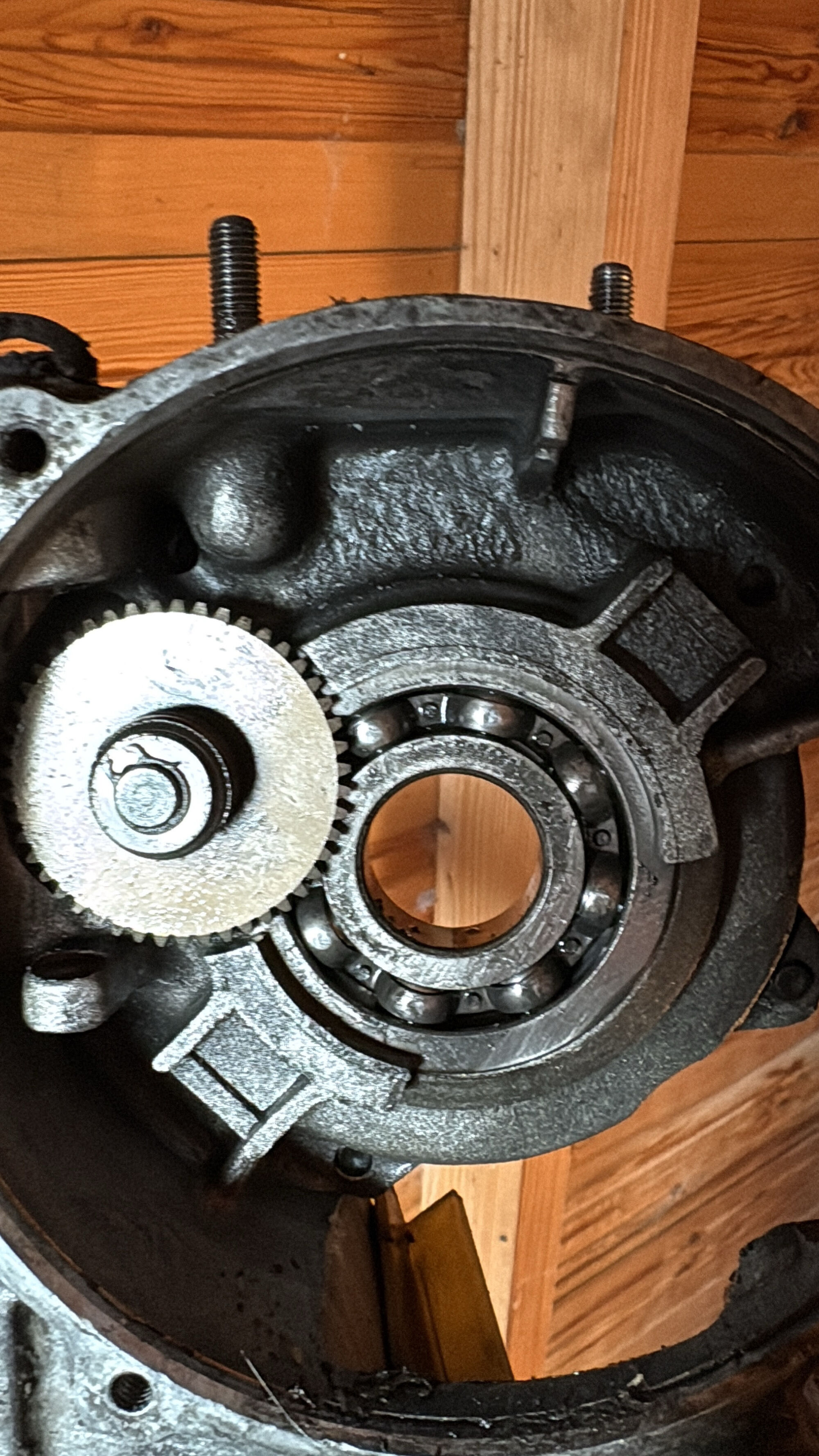 Case I am looking to purchase