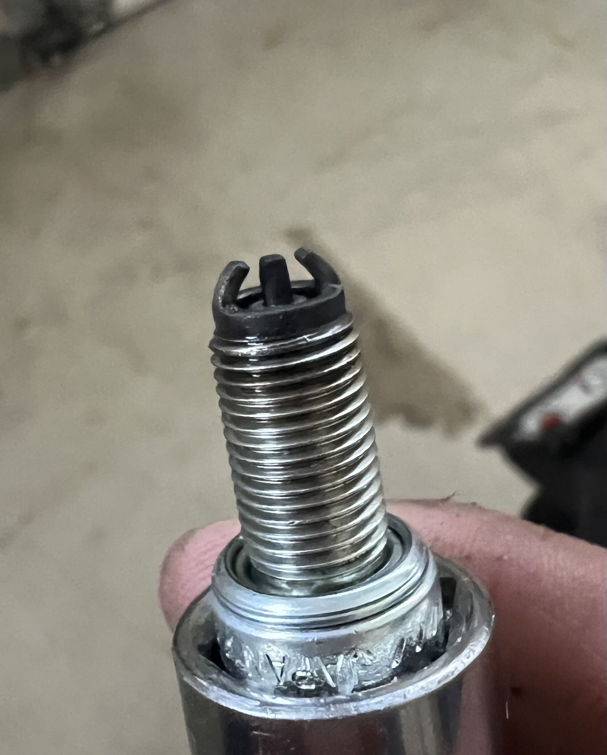 Forum member supplied image with no explanatory text