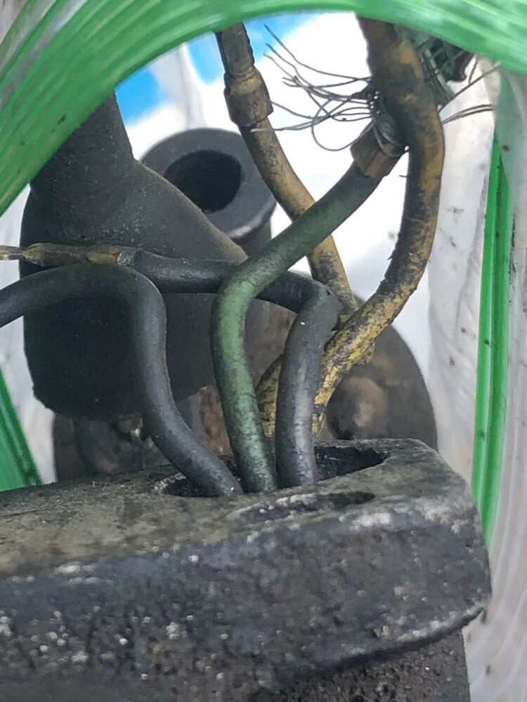 Wires from stator (double yellow, green, black and purple)