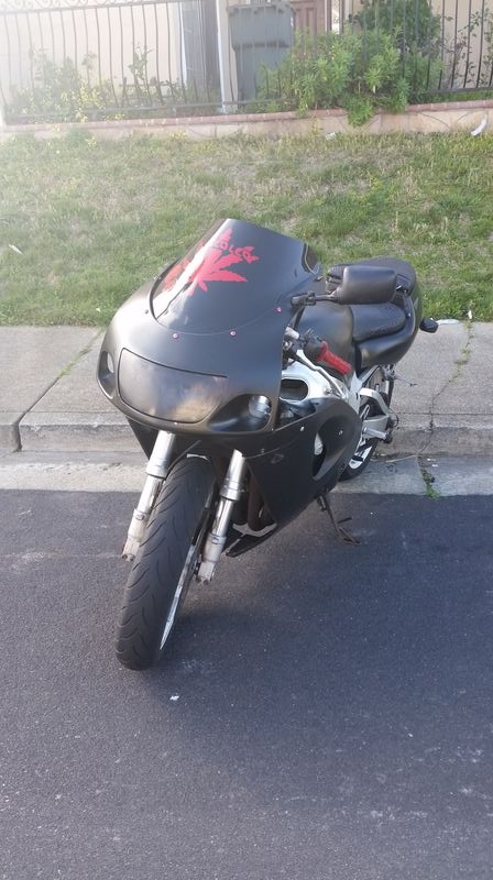 Red leaf motorcycle gang decals.