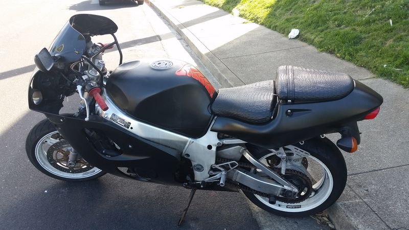 Whoa, crocodile seats!