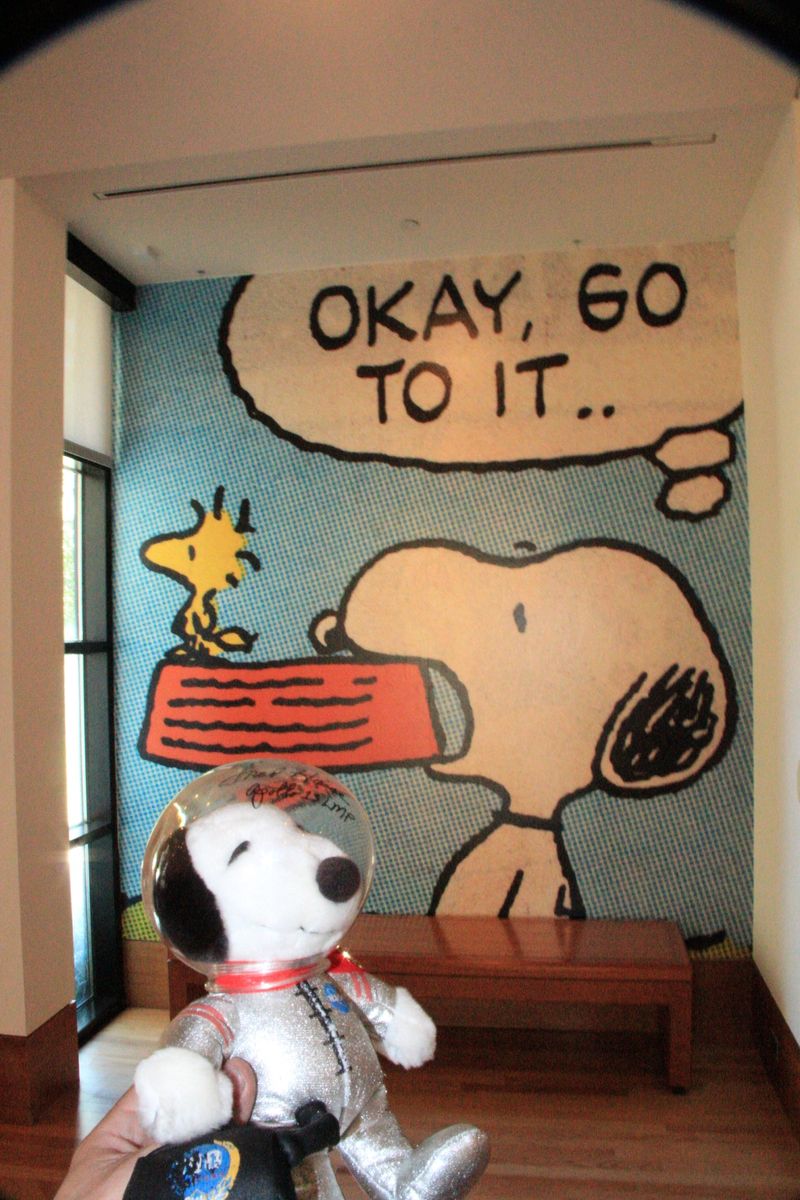 Forum member supplied image with no explanatory text