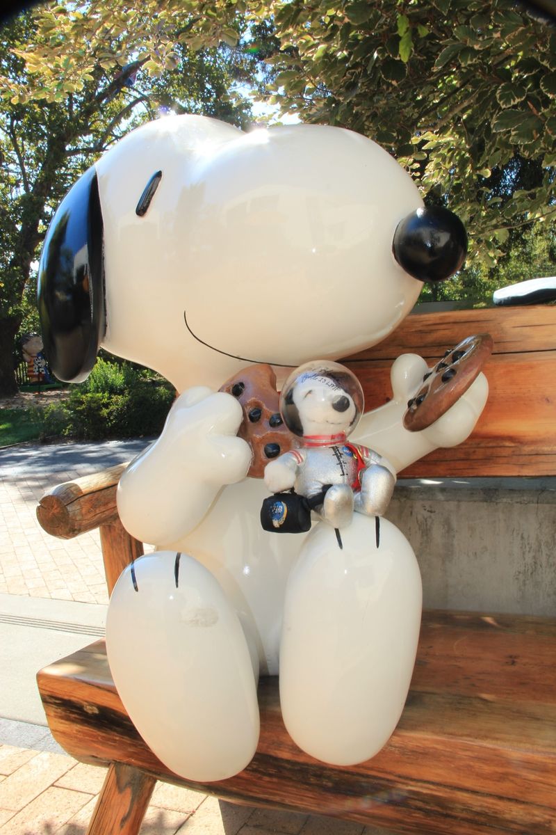 Forum member supplied image with no explanatory text