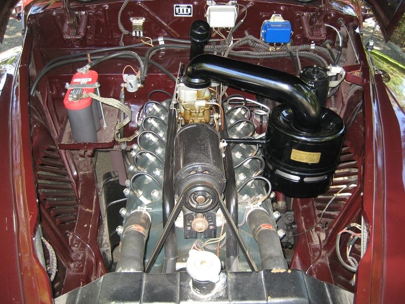 Forum member supplied image with no explanatory text