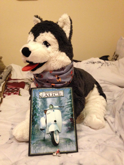 Wow! A gorgeous handmade, personalised card, DoubleGood neck tube (modelled by another husky; yes, I own lots) and a Santa-on-a-scooter brooch just like the one I was admiring on another thread. Santa really does have eyes everywhere :)