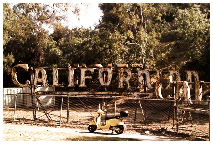 Forum member supplied image with no explanatory text