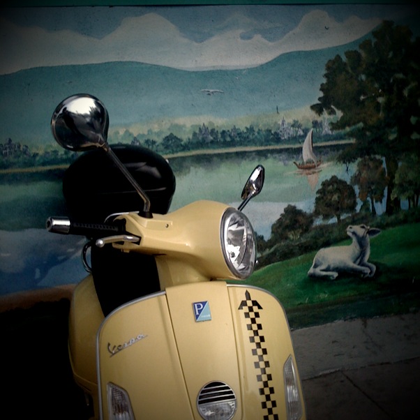 Forum member supplied image with no explanatory text