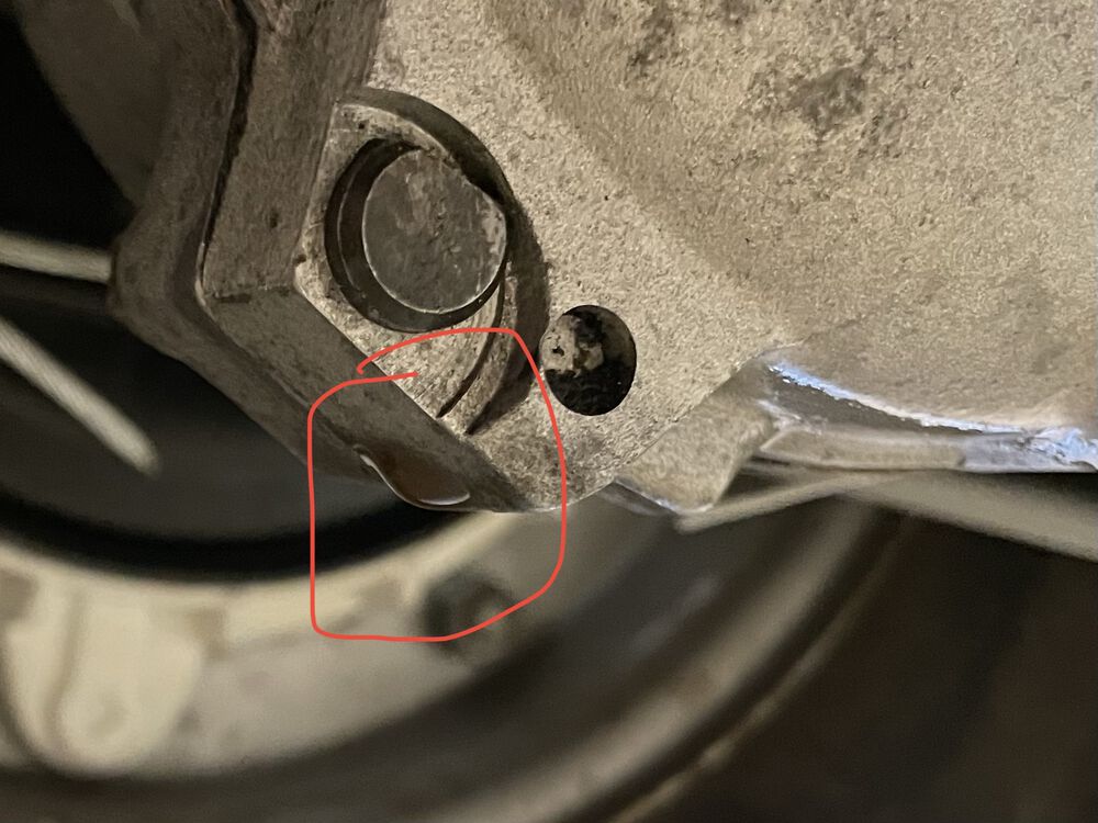 Around 5ml every 24 hours I'd say and smells of fuel.