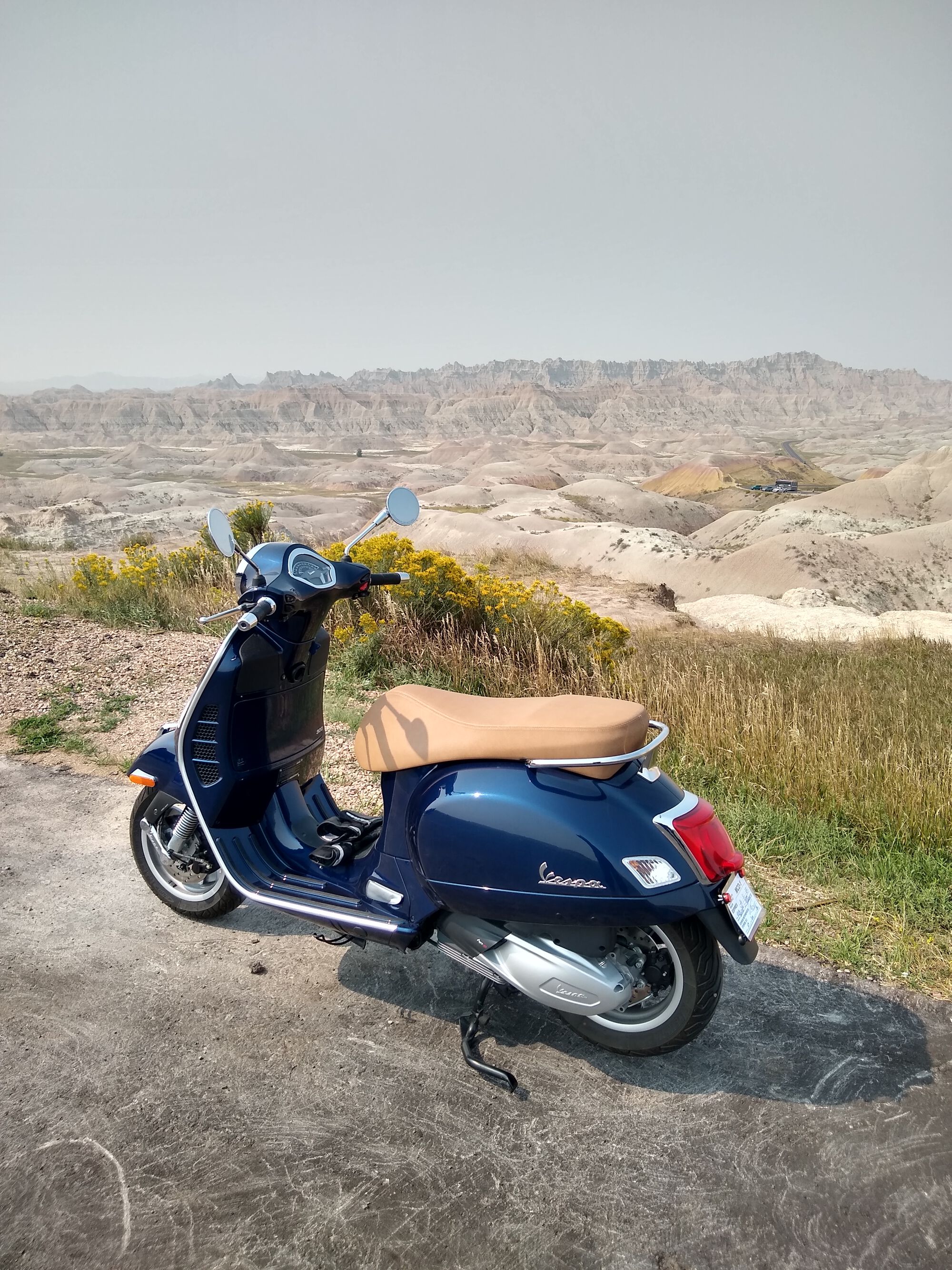 Forum member supplied image with no explanatory text