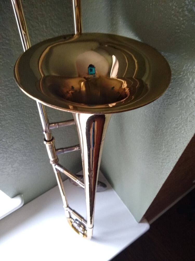 Forum member supplied image with no explanatory text