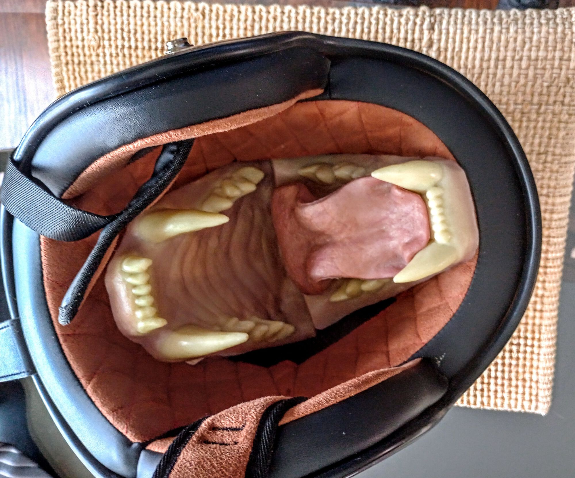 Forum member supplied image with no explanatory text