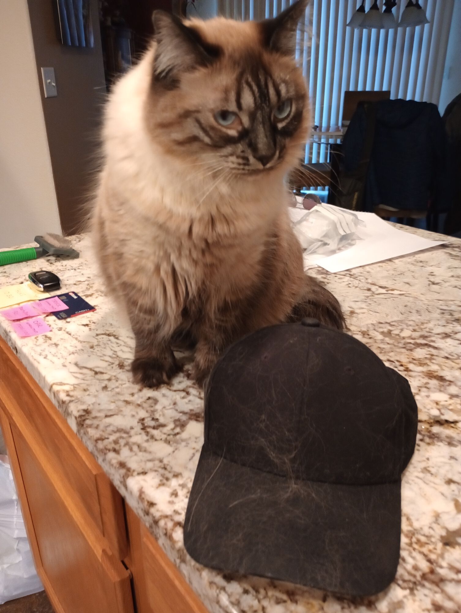 Forum member supplied image with no explanatory text