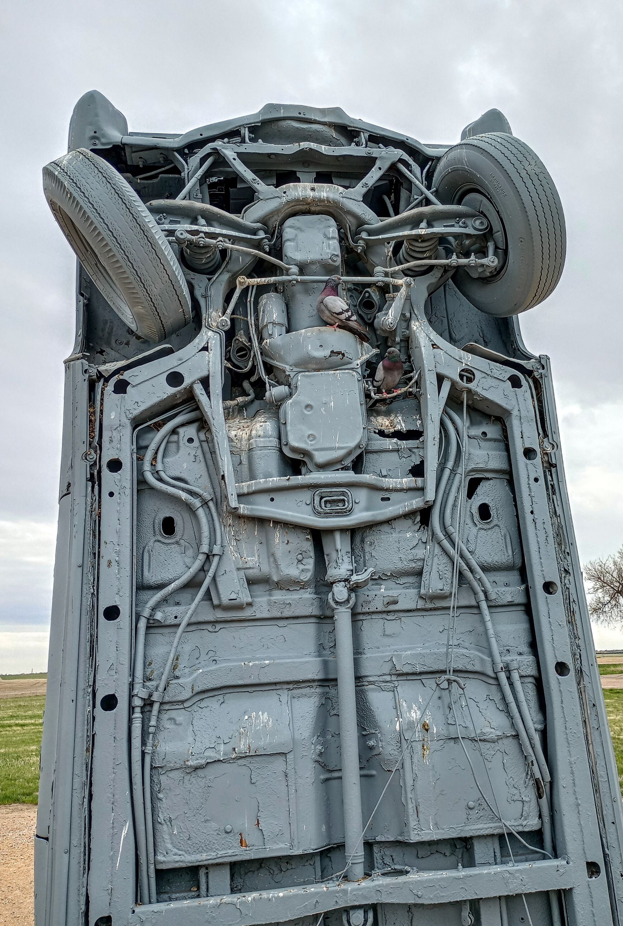 Forum member supplied image with no explanatory text