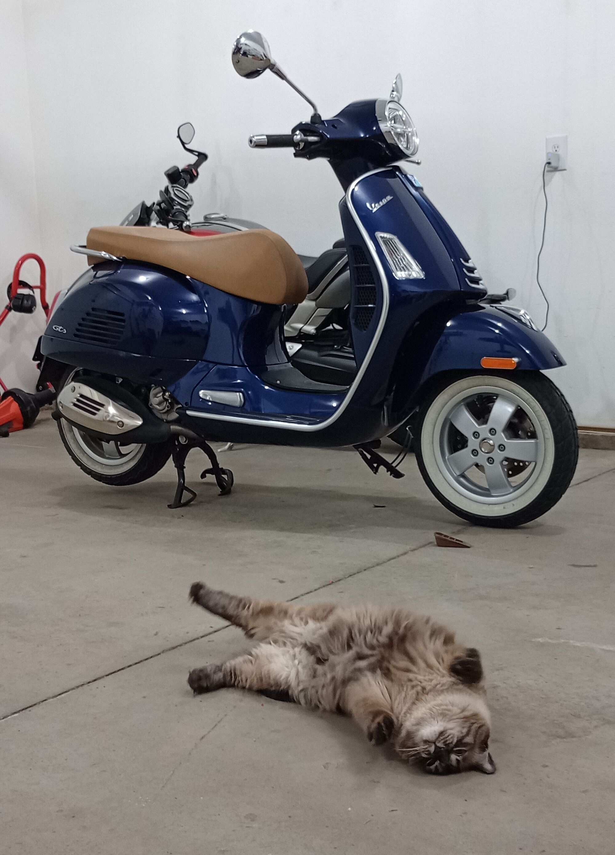 Forum member supplied image with no explanatory text