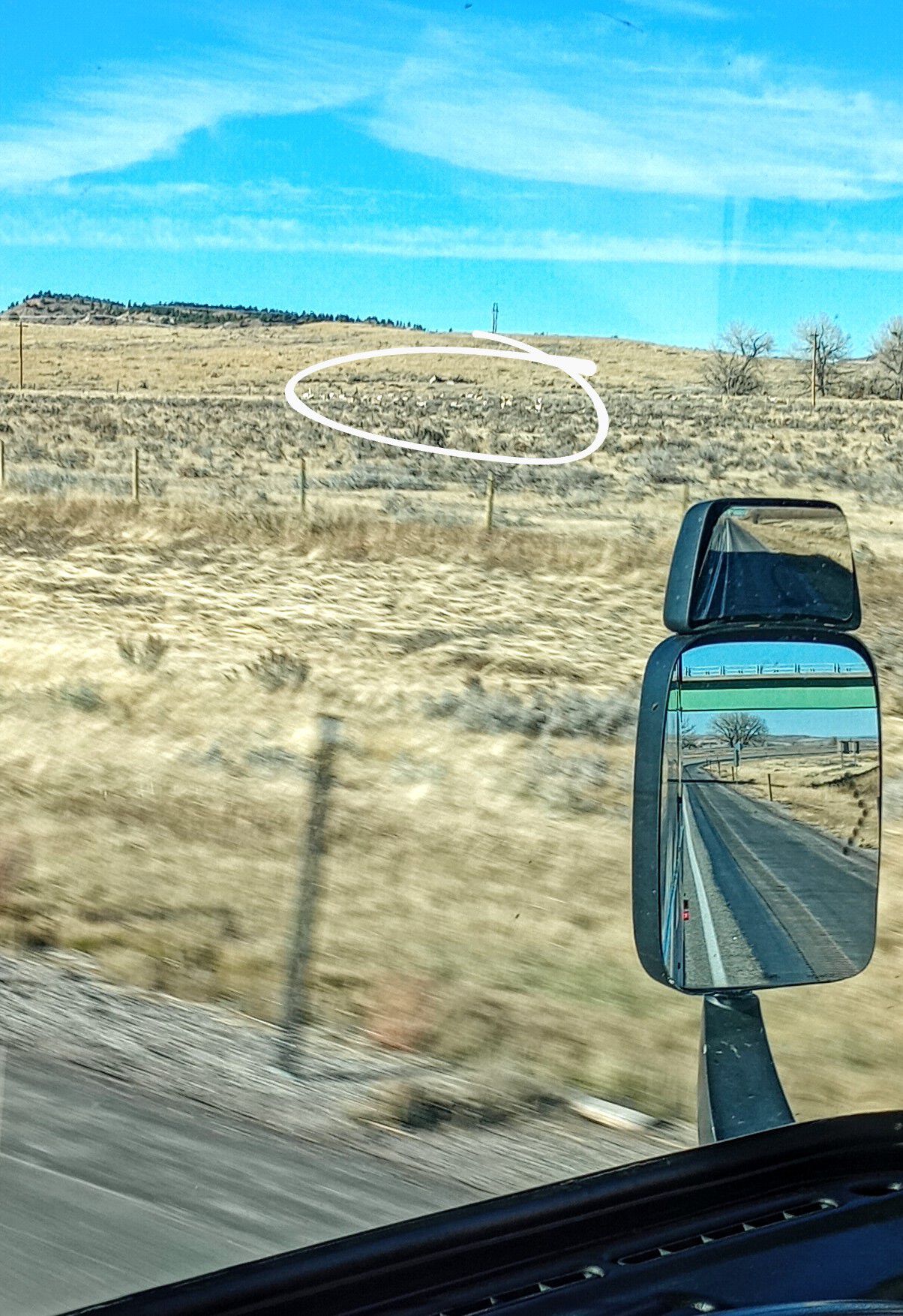 Forum member supplied image with no explanatory text