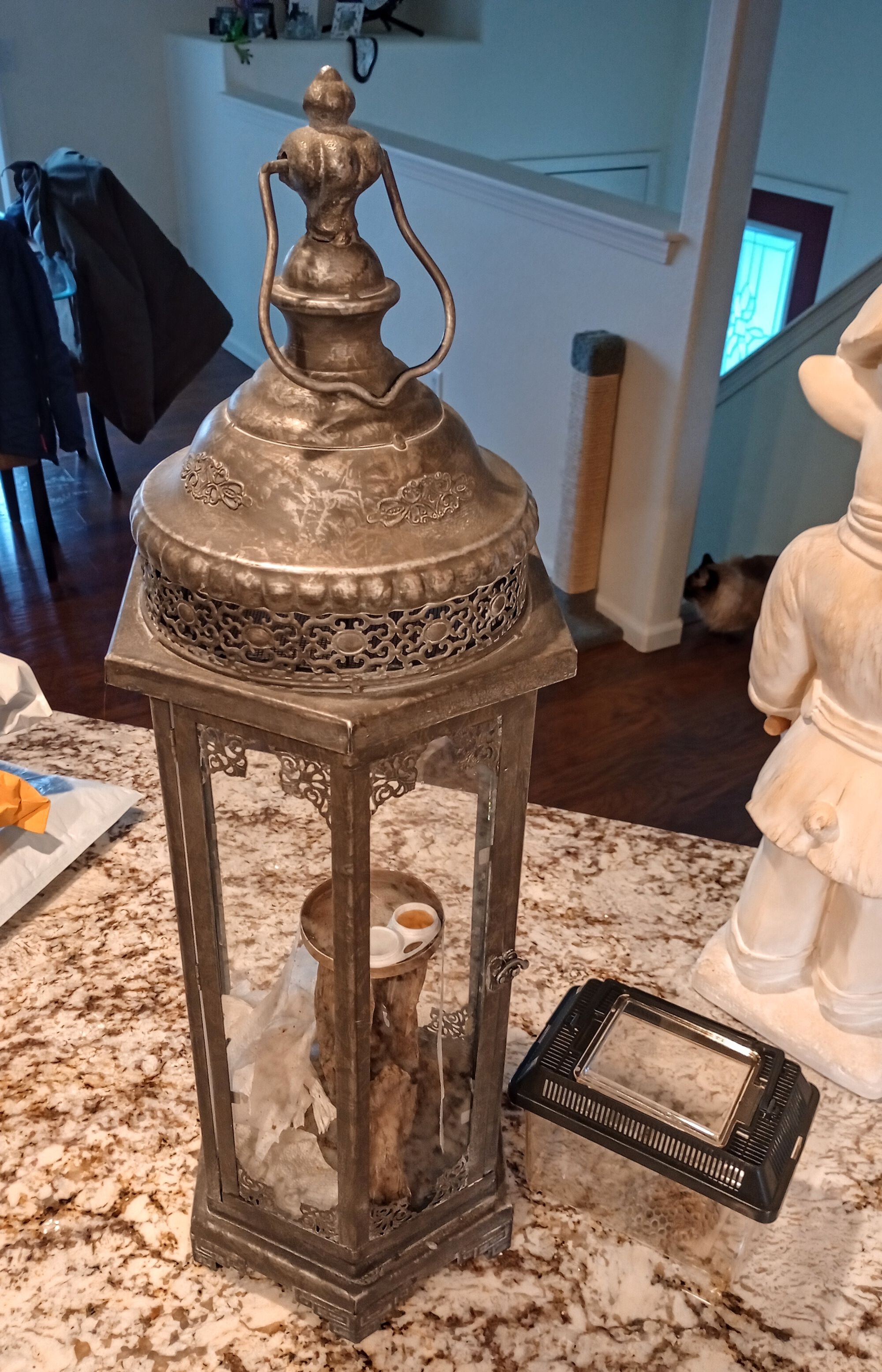 Forum member supplied image with no explanatory text