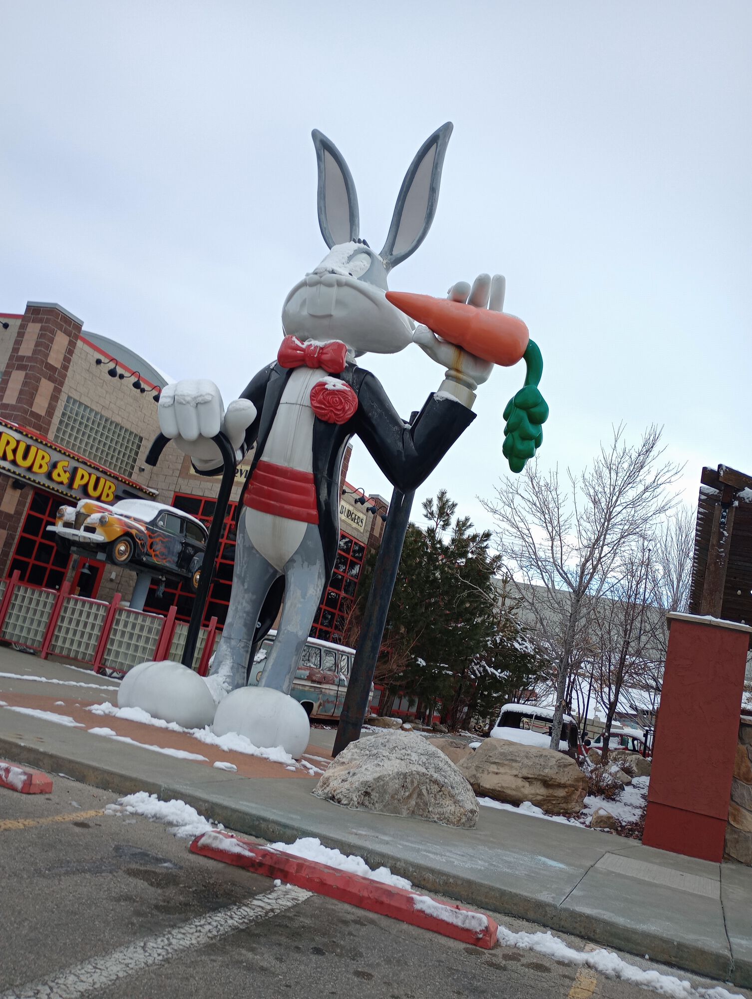 Forum member supplied image with no explanatory text