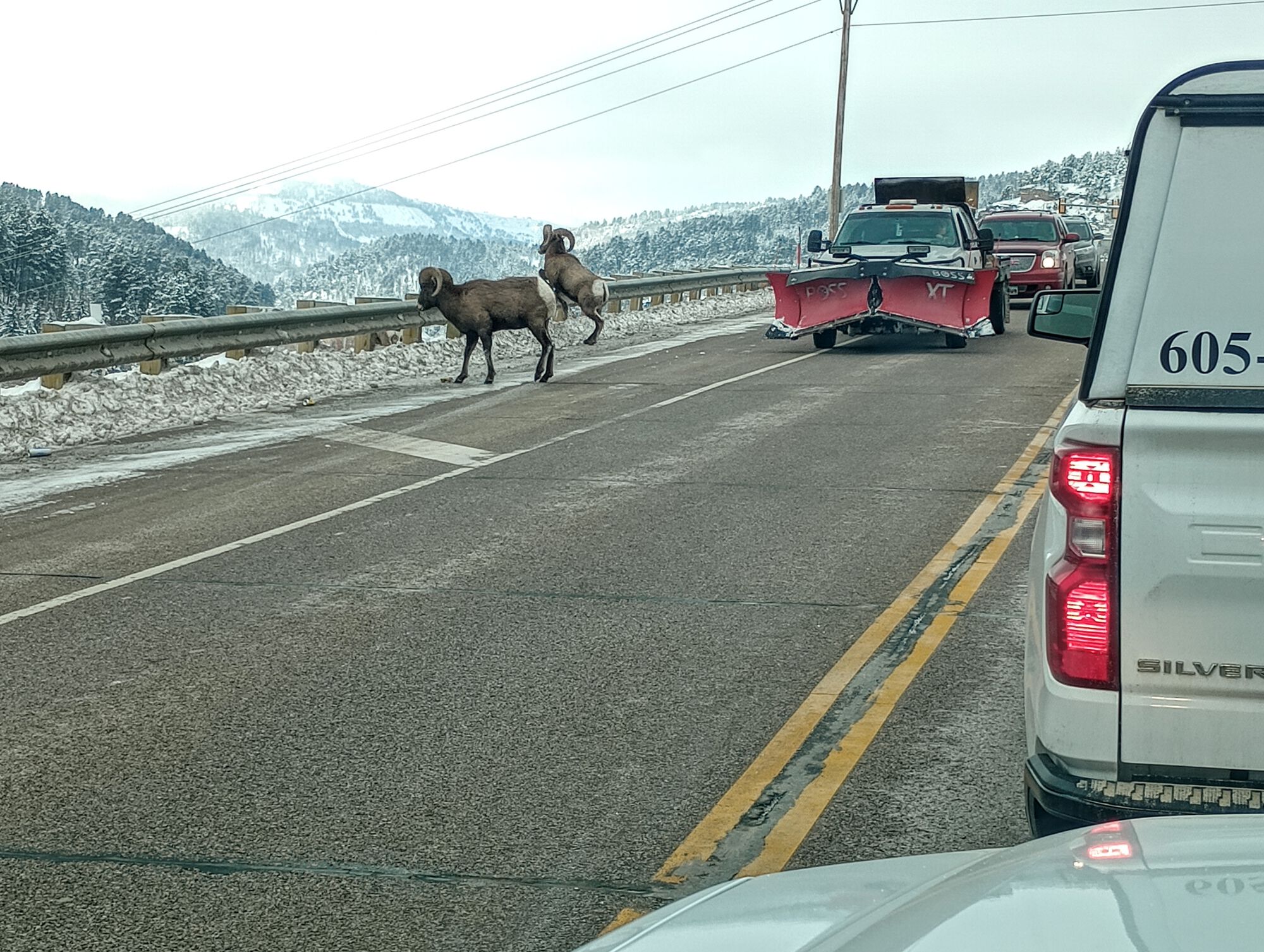 Forum member supplied image with no explanatory text