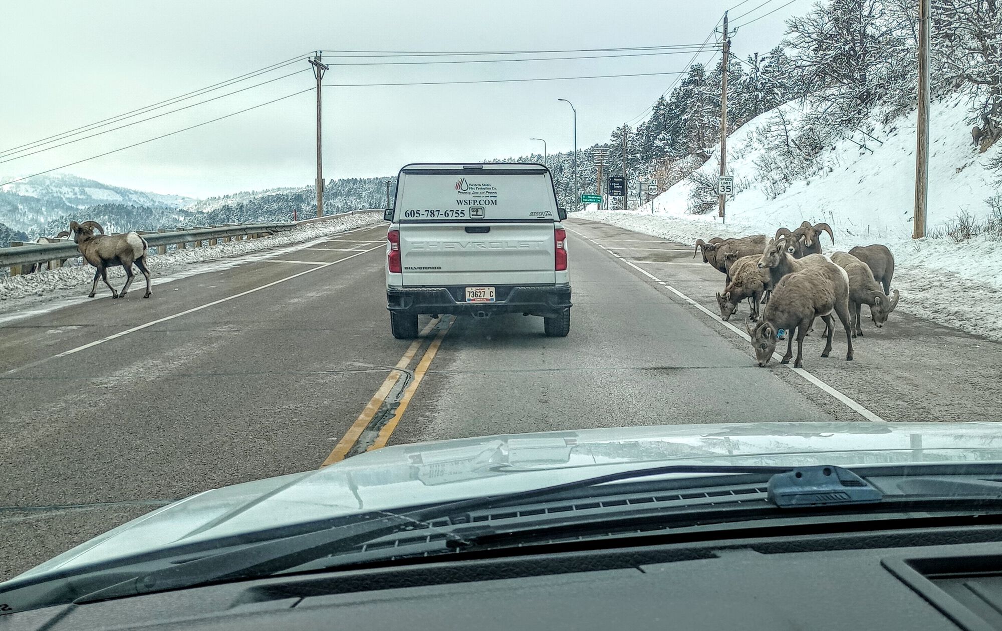 Forum member supplied image with no explanatory text