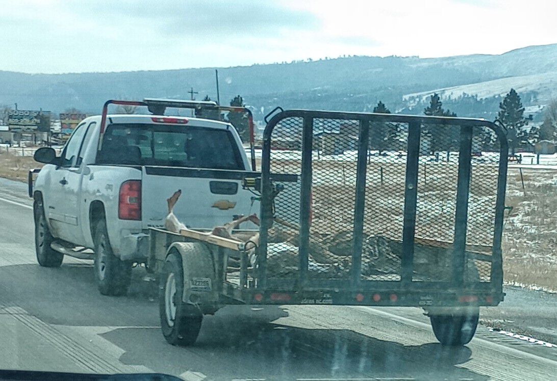 Forum member supplied image with no explanatory text