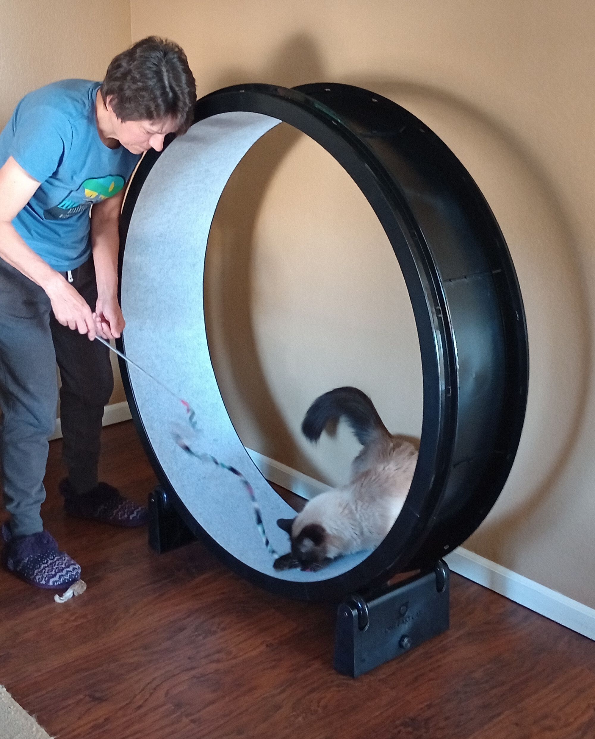 Forum member supplied image with no explanatory text