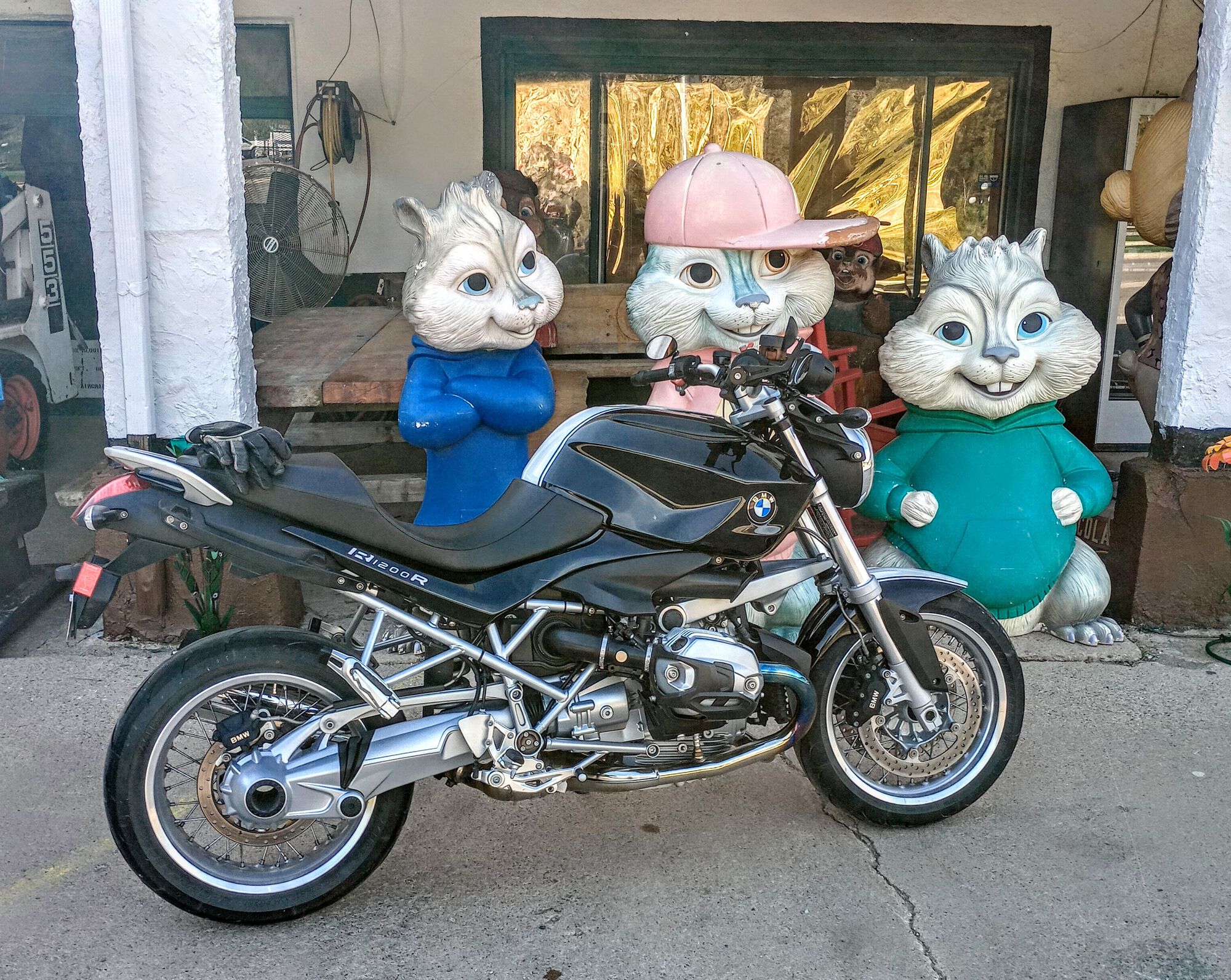 Forum member supplied image with no explanatory text