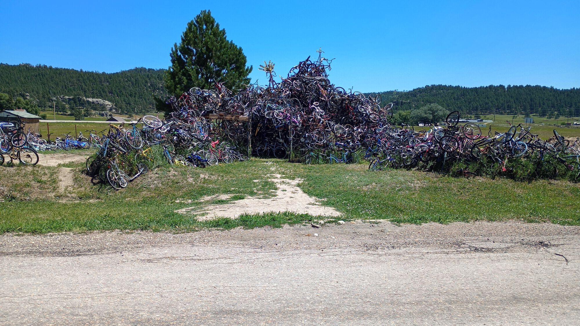 Forum member supplied image with no explanatory text