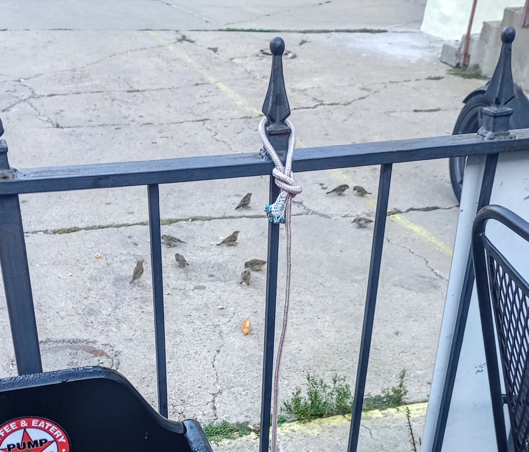 Forum member supplied image with no explanatory text