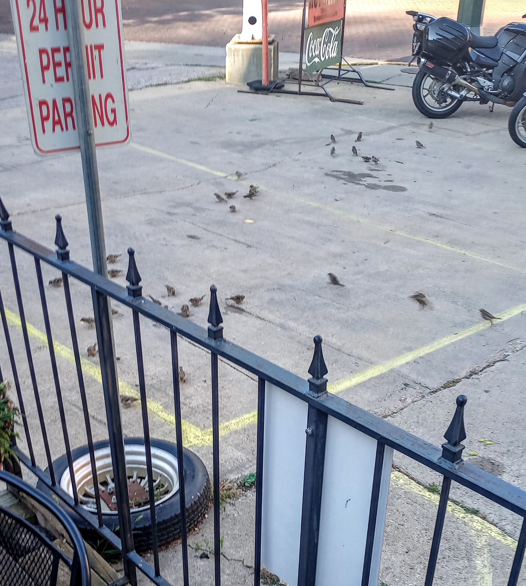 Forum member supplied image with no explanatory text