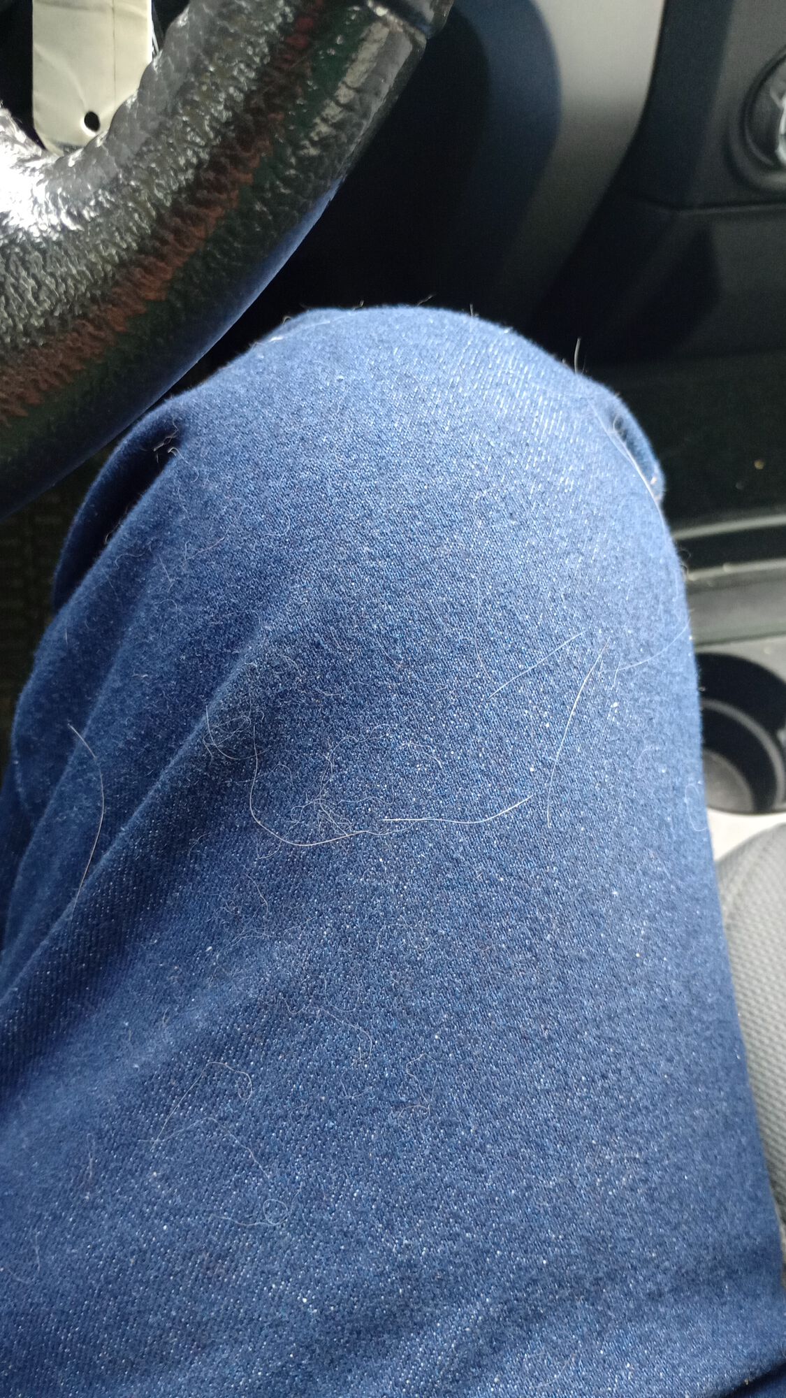 Forum member supplied image with no explanatory text