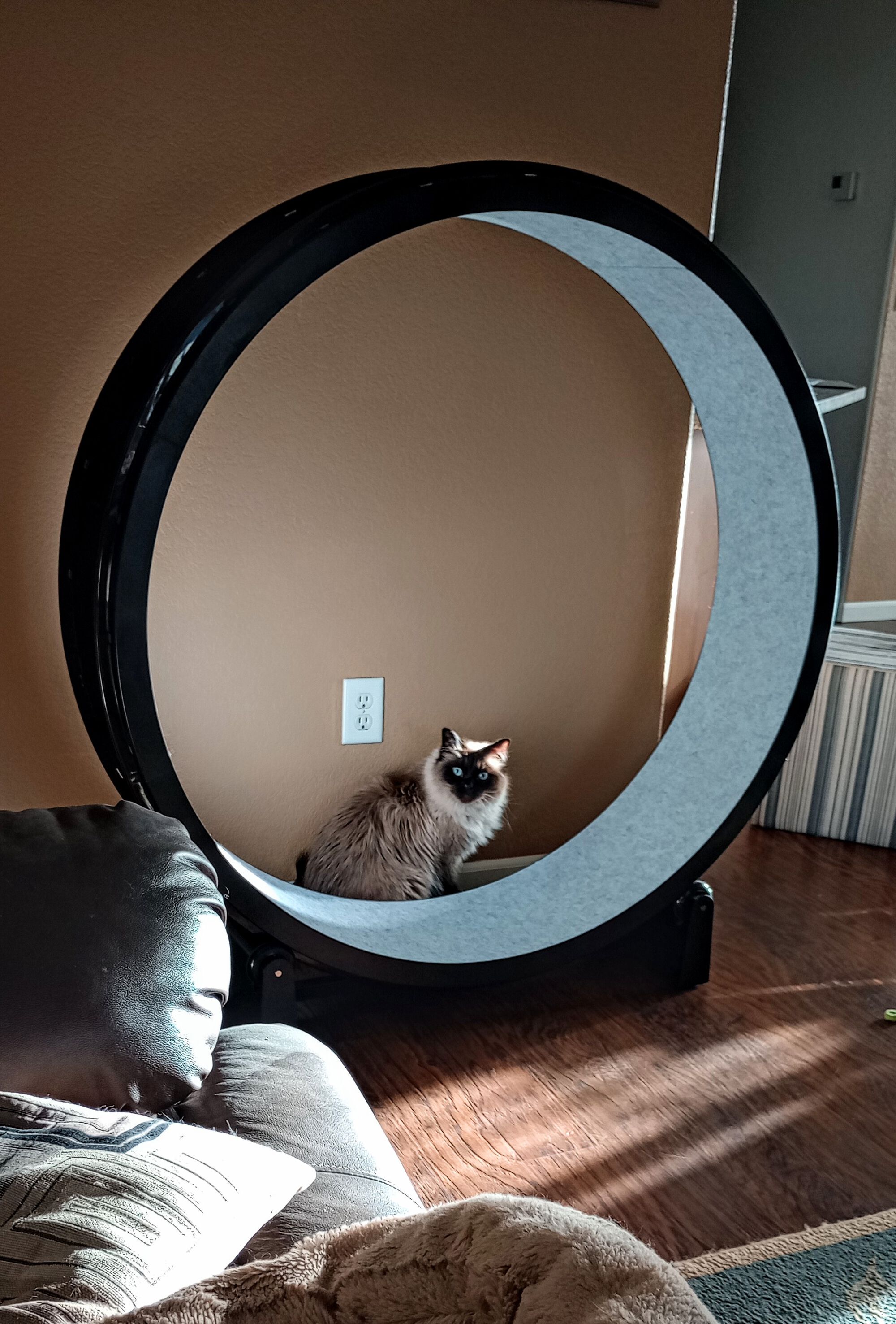 Forum member supplied image with no explanatory text