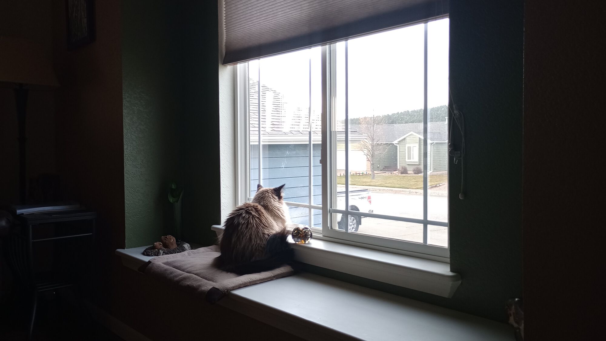 Forum member supplied image with no explanatory text