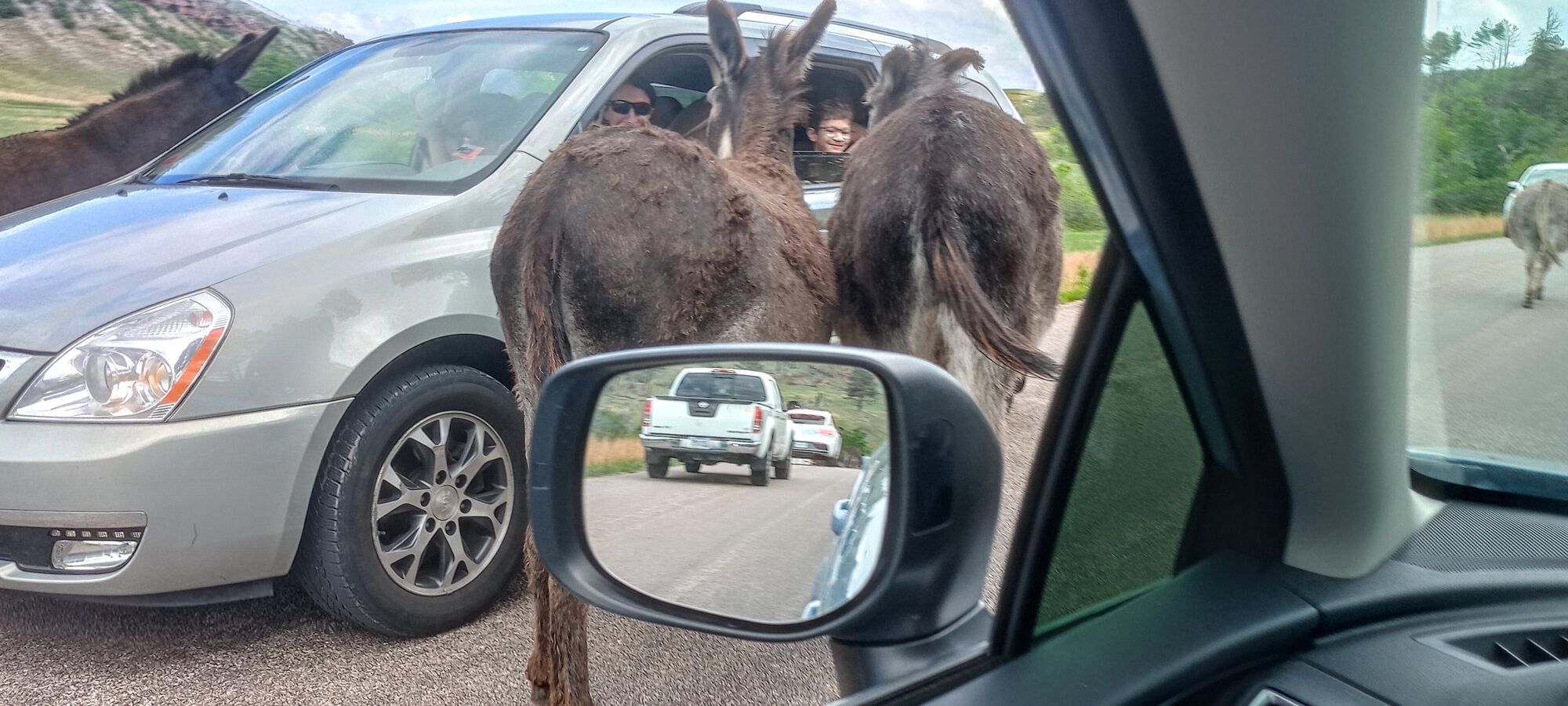 Forum member supplied image with no explanatory text
