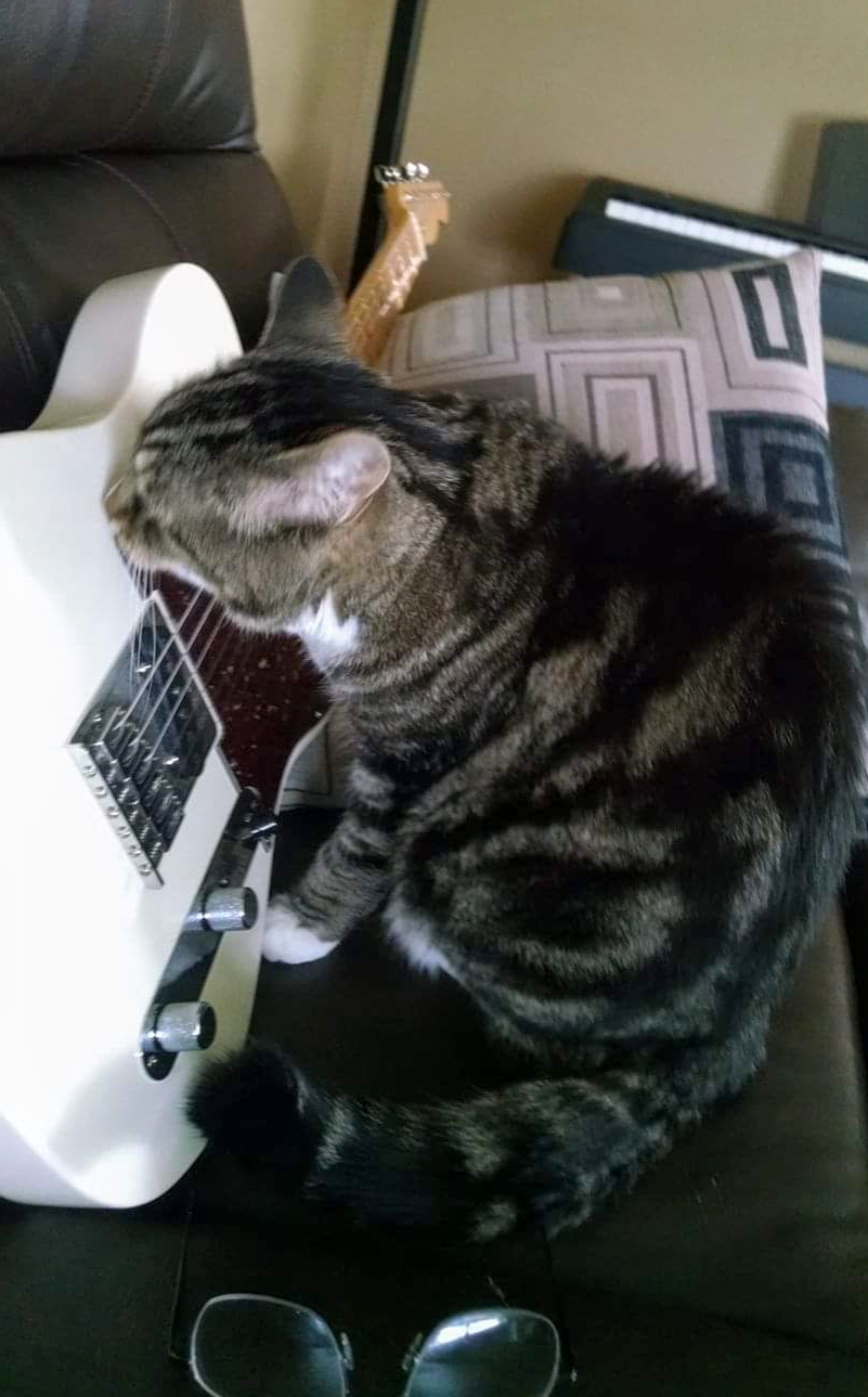 Forum member supplied image with no explanatory text