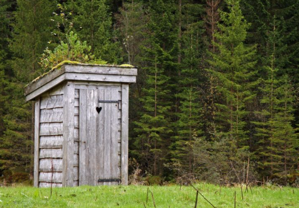 Forum member supplied image with no explanatory text