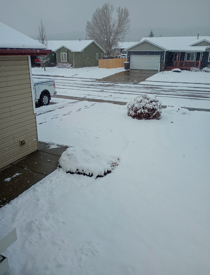 Forum member supplied image with no explanatory text