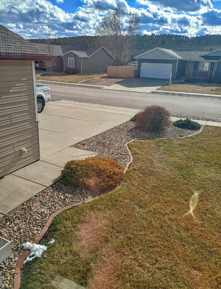 Forum member supplied image with no explanatory text