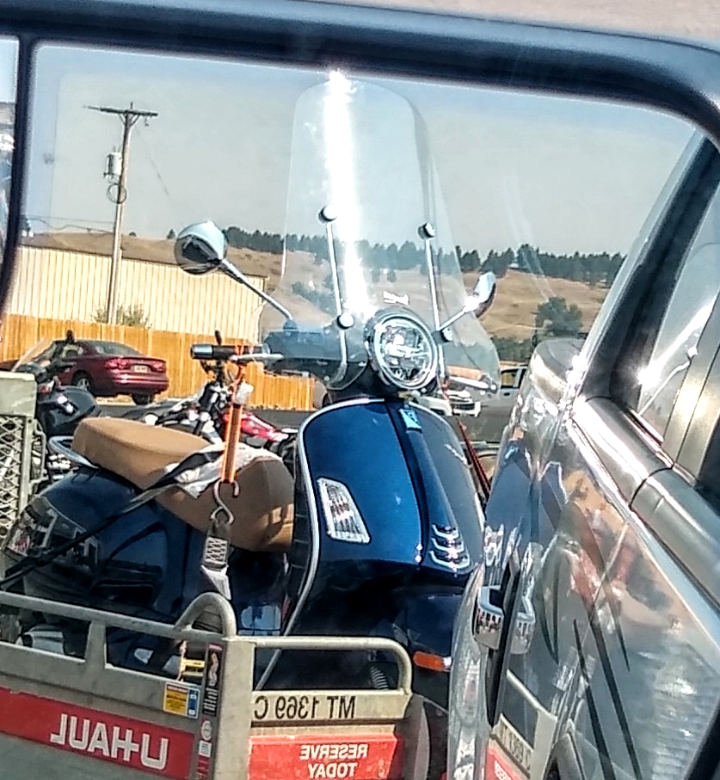 Forum member supplied image with no explanatory text