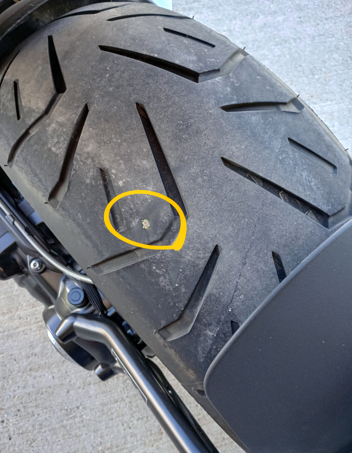 Forum member supplied image with no explanatory text