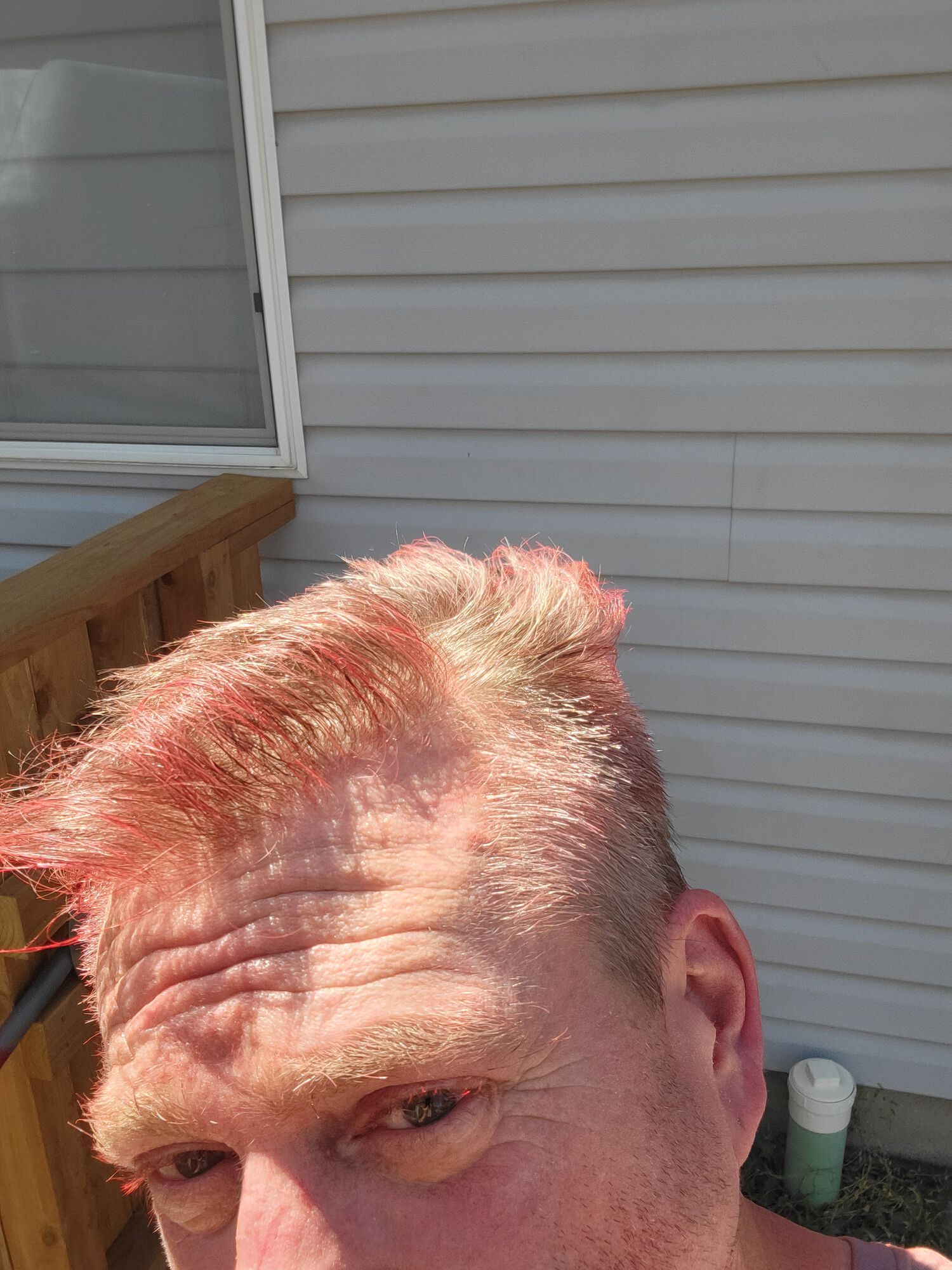 Forum member supplied image with no explanatory text