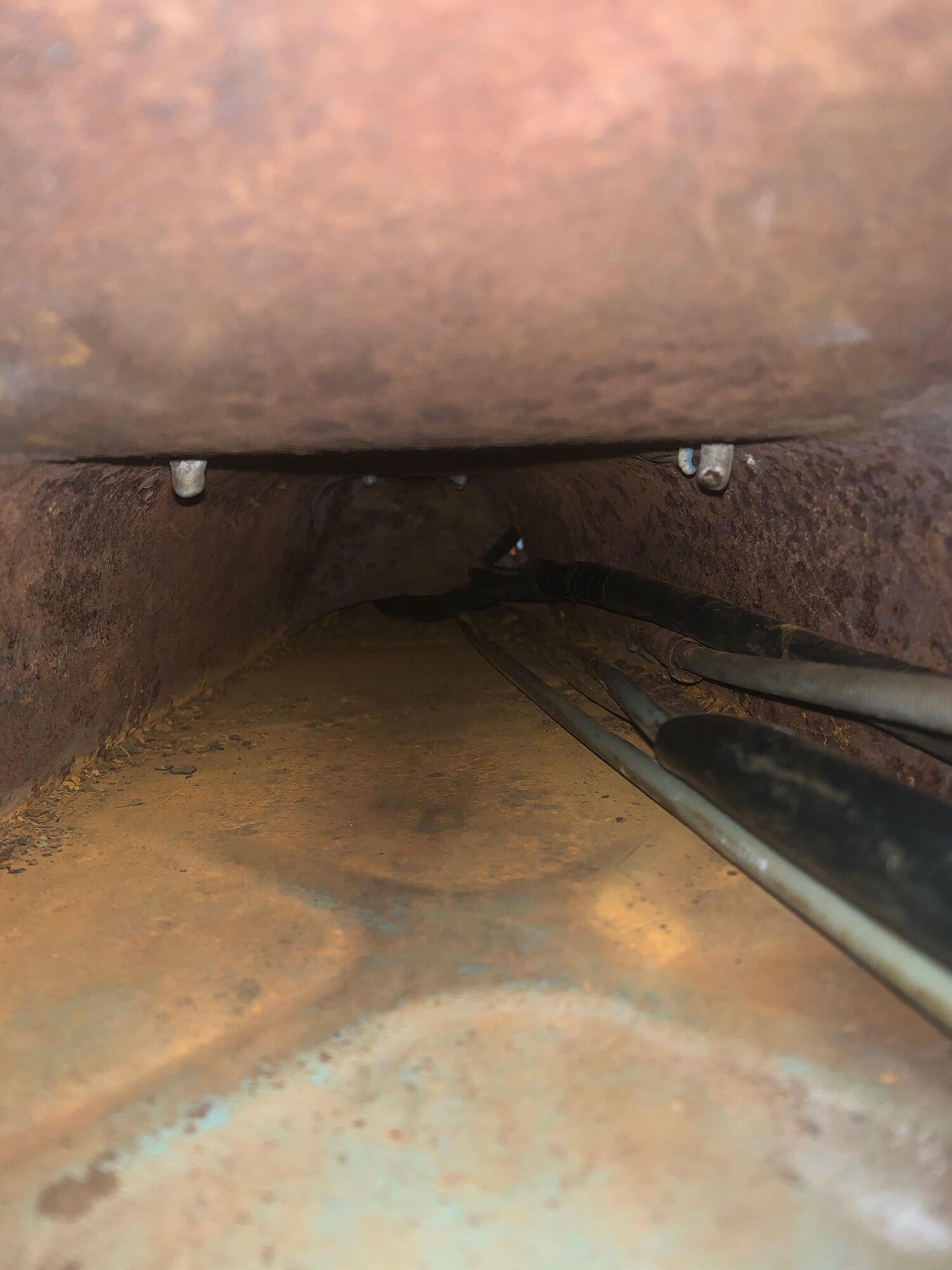 Forum member supplied image with no explanatory text