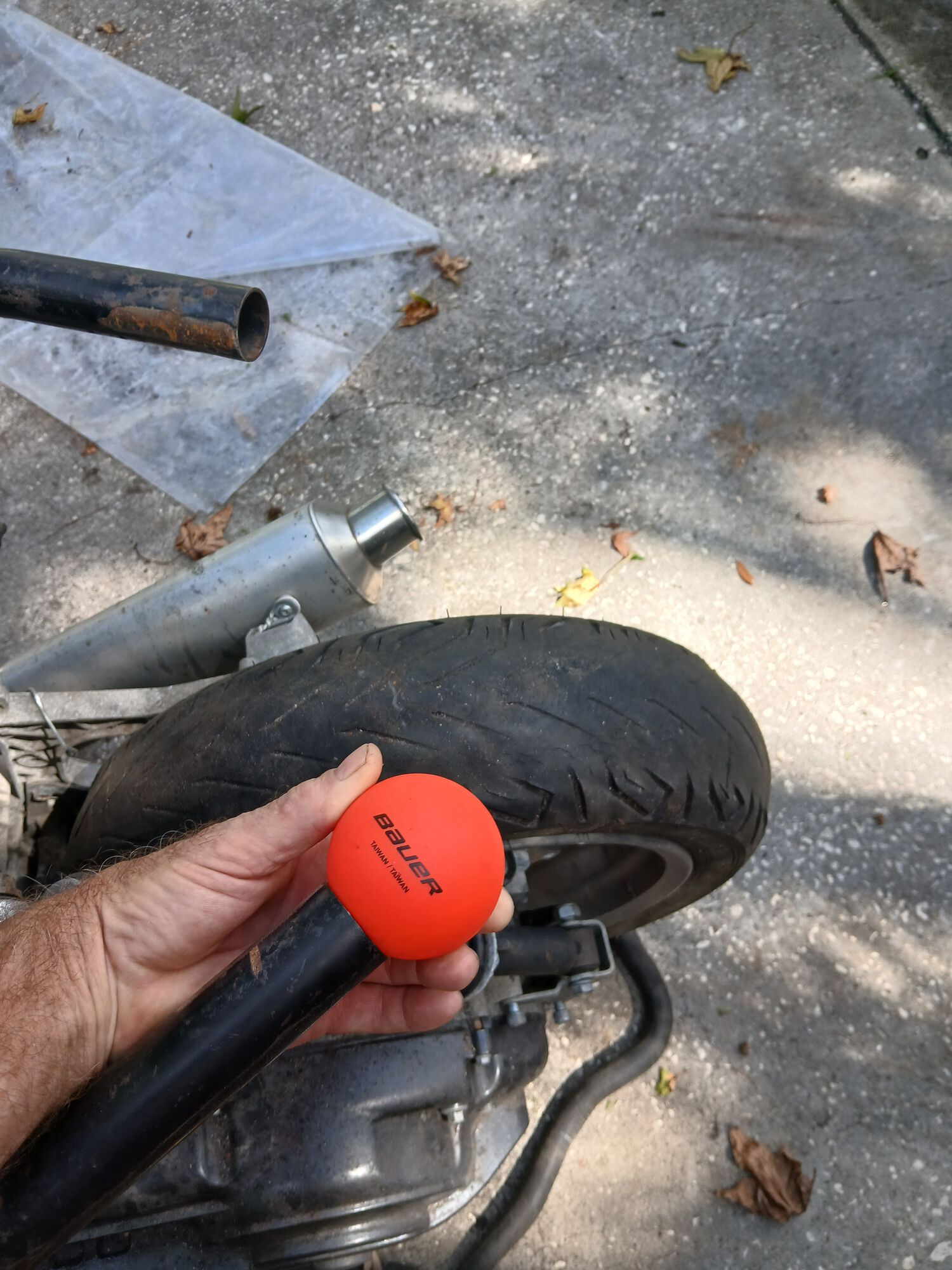 Forum member supplied image with no explanatory text