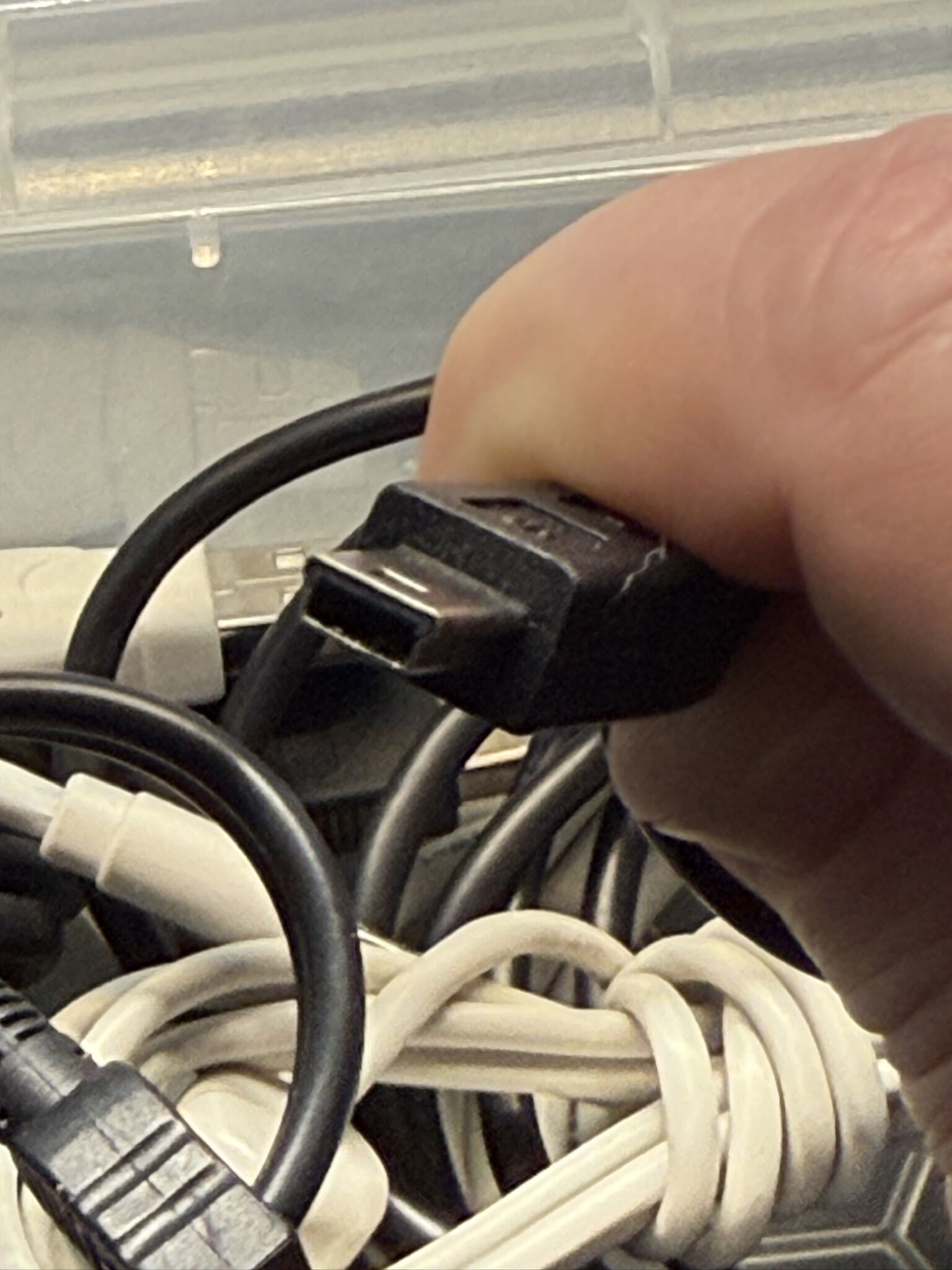 Forum member supplied image with no explanatory text