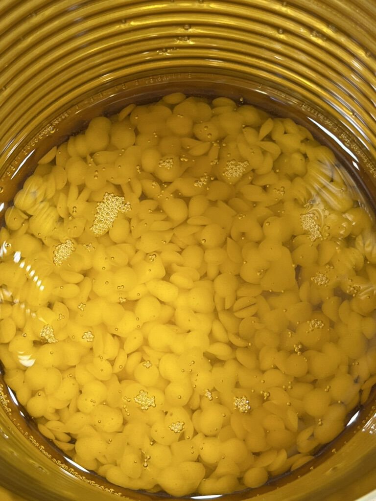 Forum member supplied image with no explanatory text