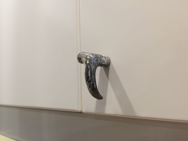 Forum member supplied image with no explanatory text