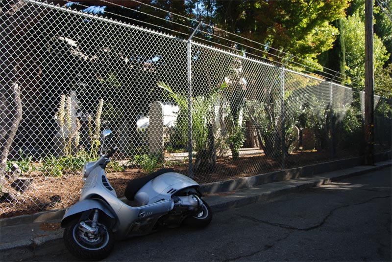 External inline image provided by member with no explanatory text