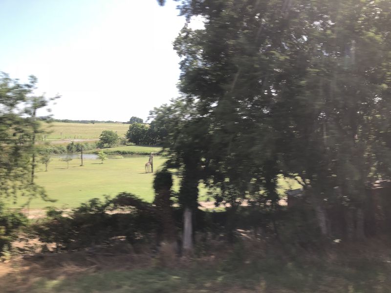 Forum member supplied image with no explanatory text